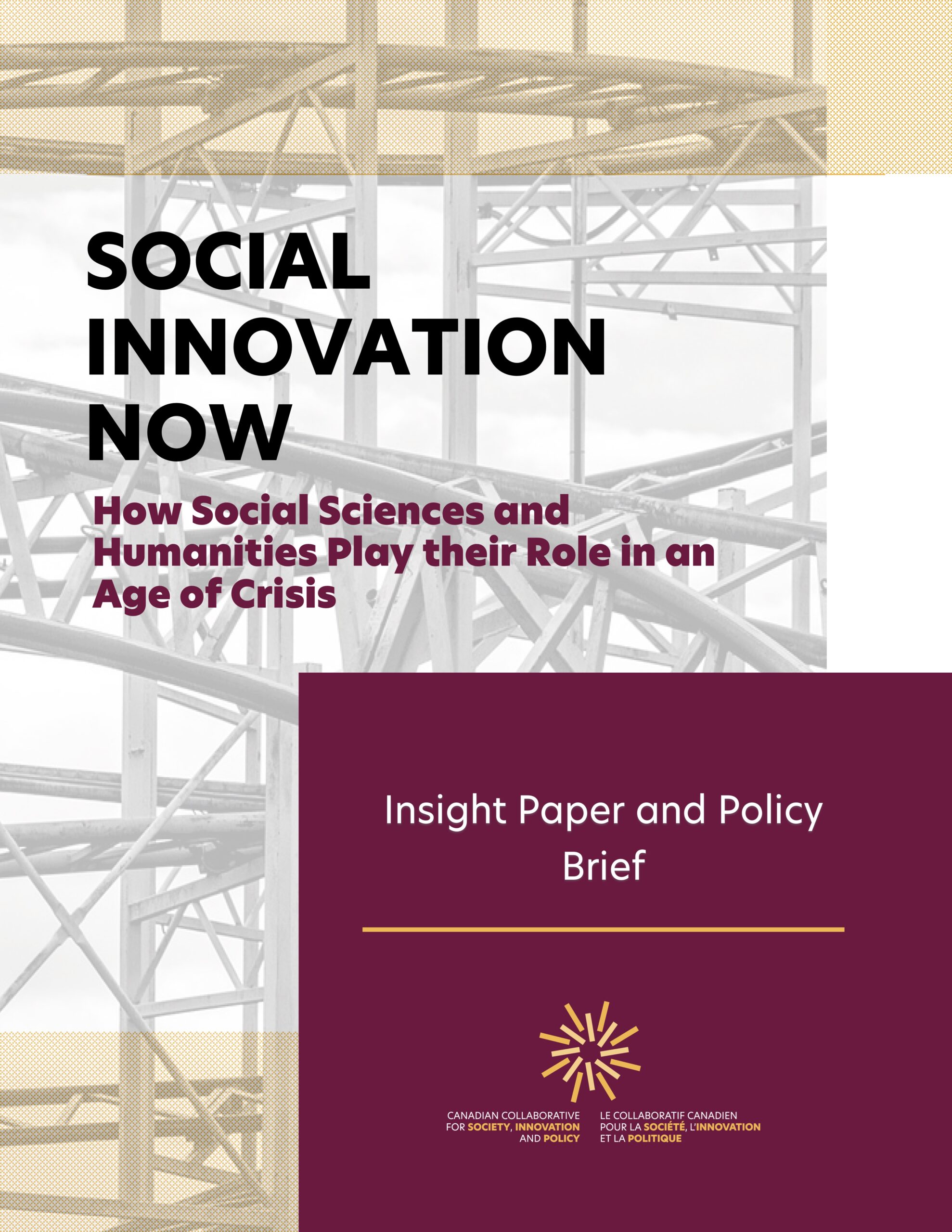 Social Innovation Now. Insight Paper and Policy Brief